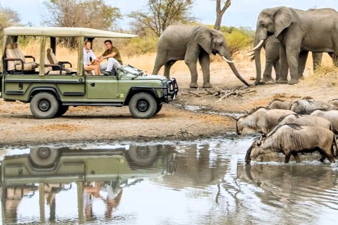 Elephants near a safari vehicle beside a waterhole